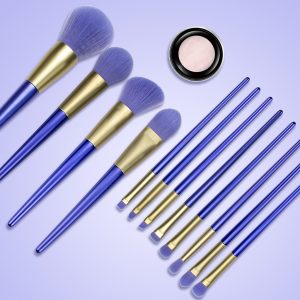 professional makeup brush set competitive price